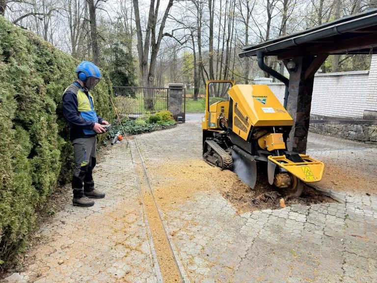 Frézovanie pňa pri múre